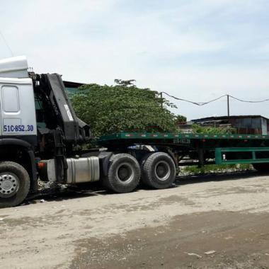  Xe Cẩu Vận Chuyển H&agrave;ng H&oacute;a | Quang Tiến 