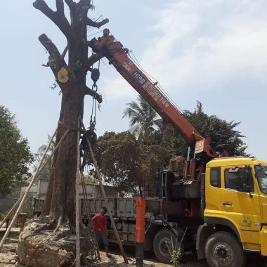 Cho Thu&ecirc; Xe Cẩu C&ocirc;ng Tr&igrave;nh | Quang Tiến