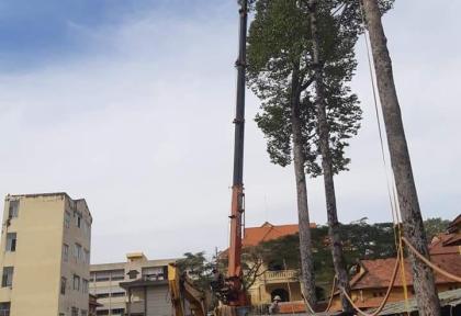 hình ảnh Dịch Vụ Xe Cẩu 60 Tấn TPHCM | Vận Tải An To&agrave;n - Nhanh Ch&oacute;ng - Gi&aacute; Tốt