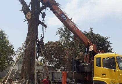hình ảnh Cho Thu&ecirc; Xe Cẩu C&ocirc;ng Tr&igrave;nh | Quang Tiến