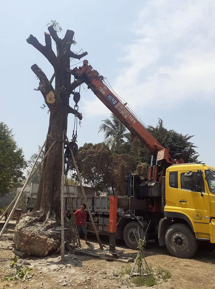 Lưu ý khi thuê xe cẩu tại TPHCM cần thiết